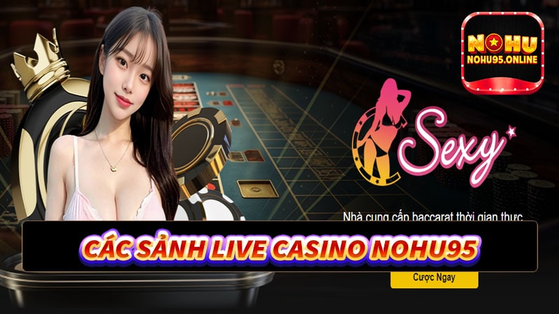 Kho game live casino nohu95 siêu lôi cuốn 